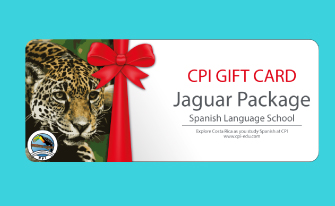 gift card cpi