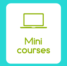 mini courses